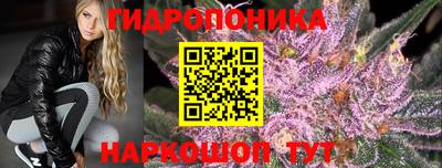 СК Усть-Илимск