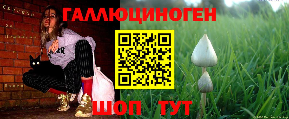 Псилоцибиновые грибы Magic Shrooms  Вход с VPN  Новороссийск 