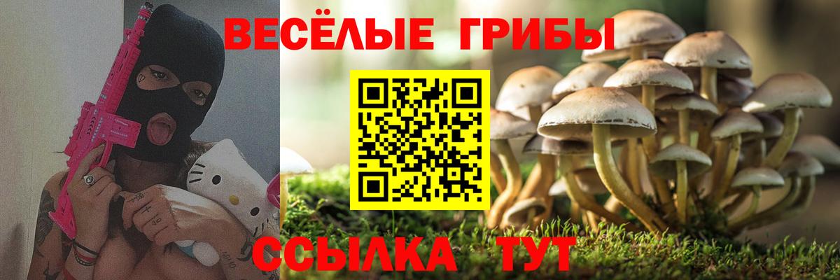 Псилоцибиновые грибы MAGIC MUSHROOMS Новороссийск